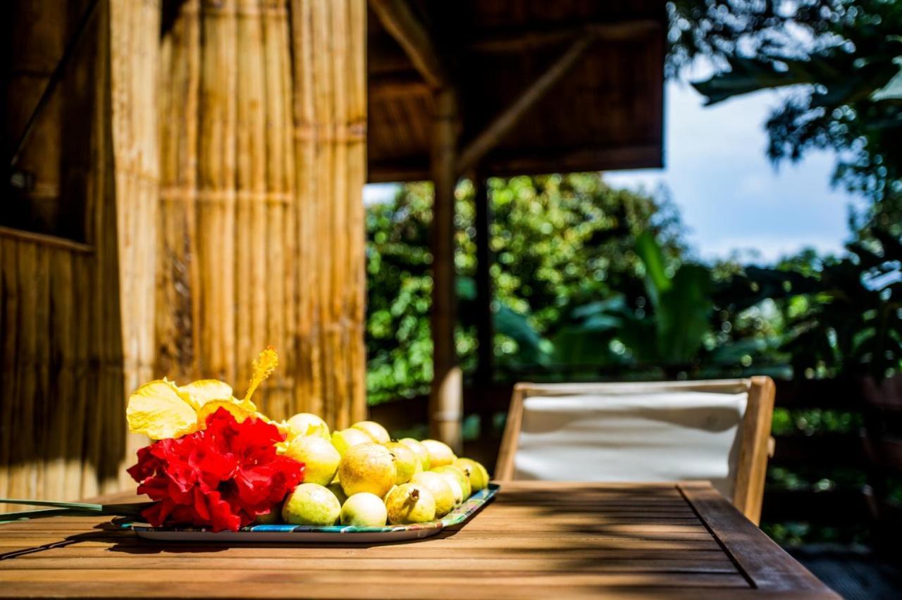 Shuit Bambou Villa La Trinité Dış mekan fotoğraf